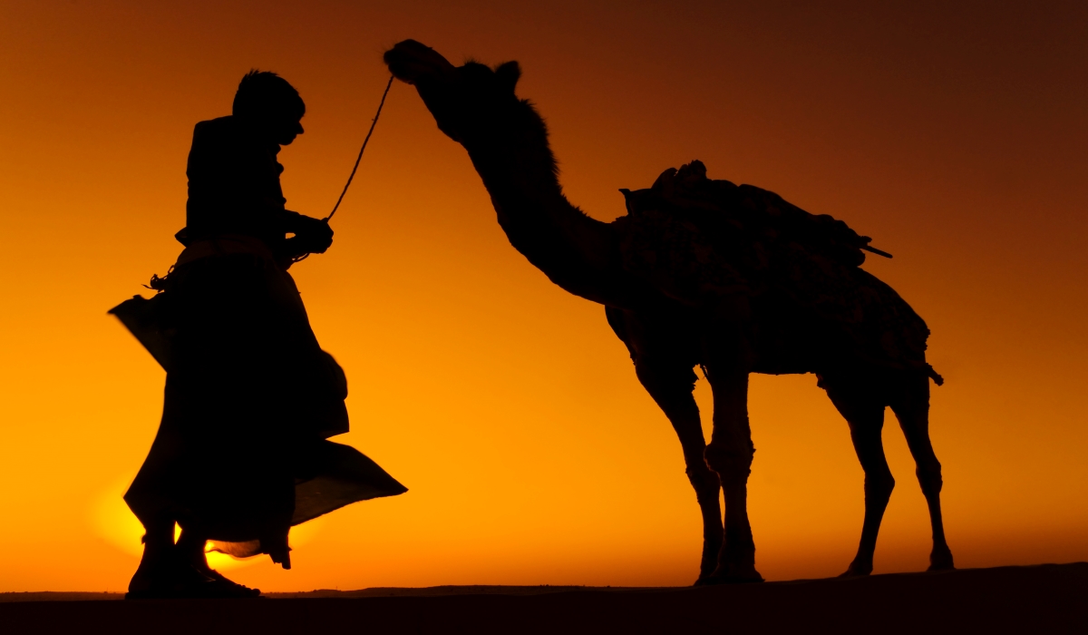 Qatar Detects Its First MERS Case After A Resident Is Exposed To Camels 